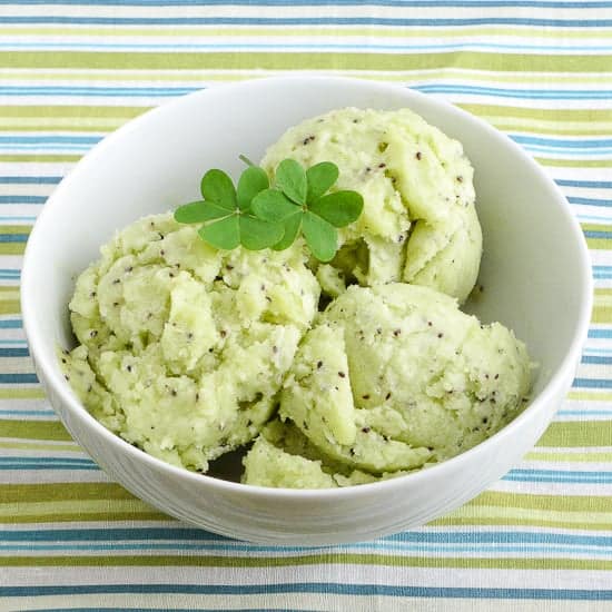Kiwi sorbet without ice cream 2025 maker