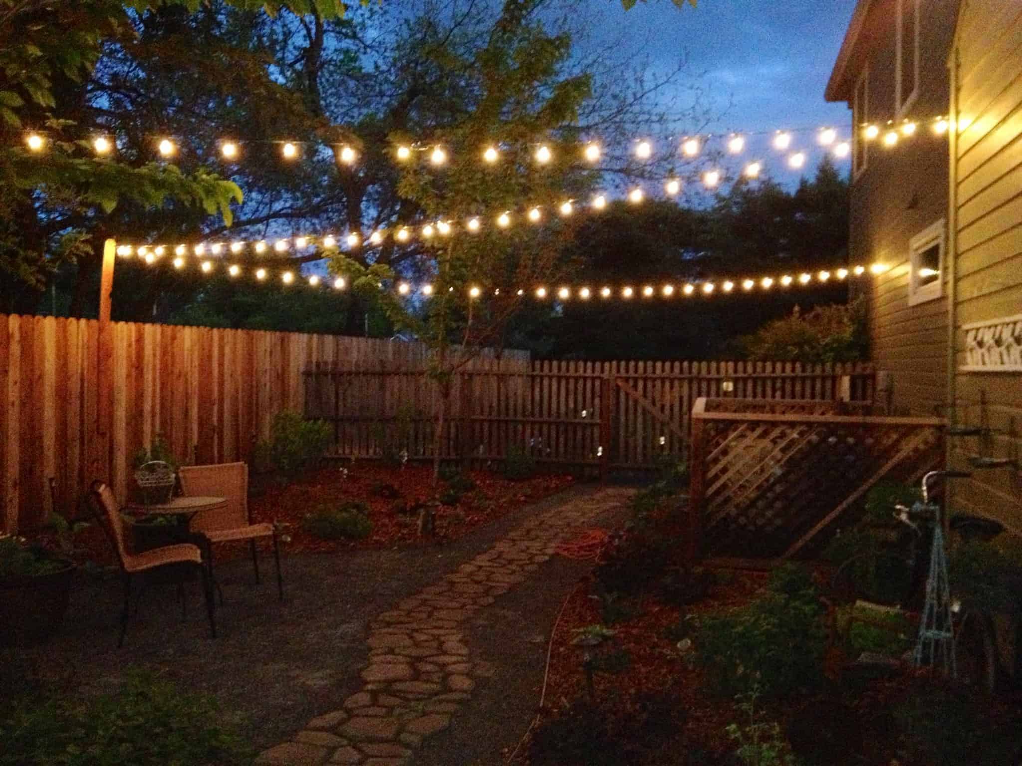 Backyard Wedding Lights