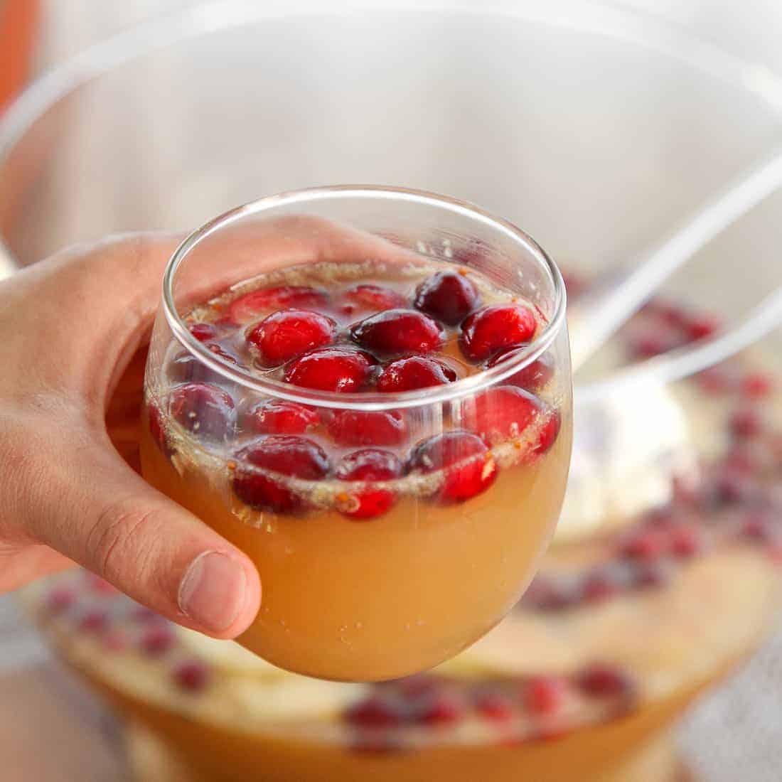 Sparkling Ginger Apple Punch with Cranberries