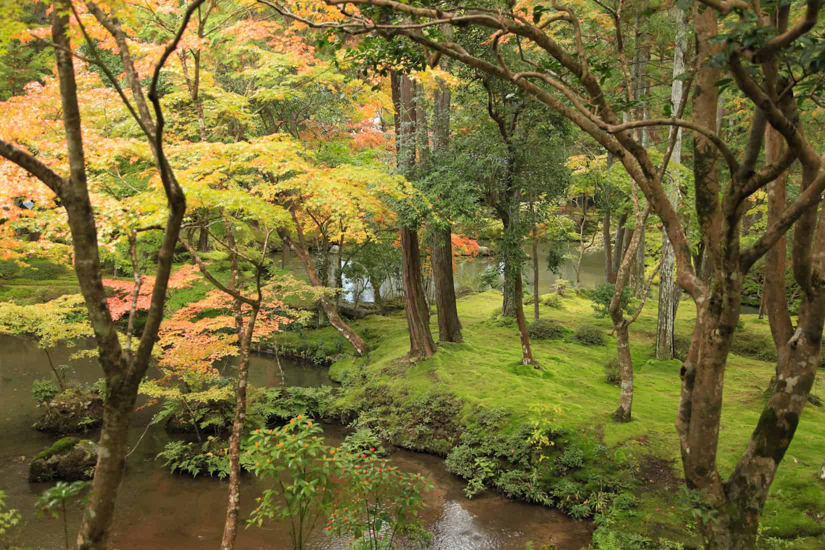 Moss Garden