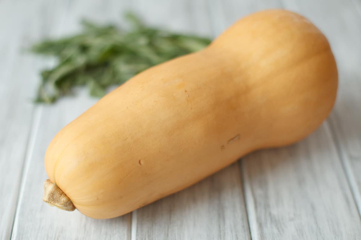 Butternut Squash