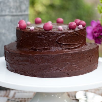 Gluten-free deep chocolate layer cake with smooth frosting, topped with small pink candies, on a white cake stand.