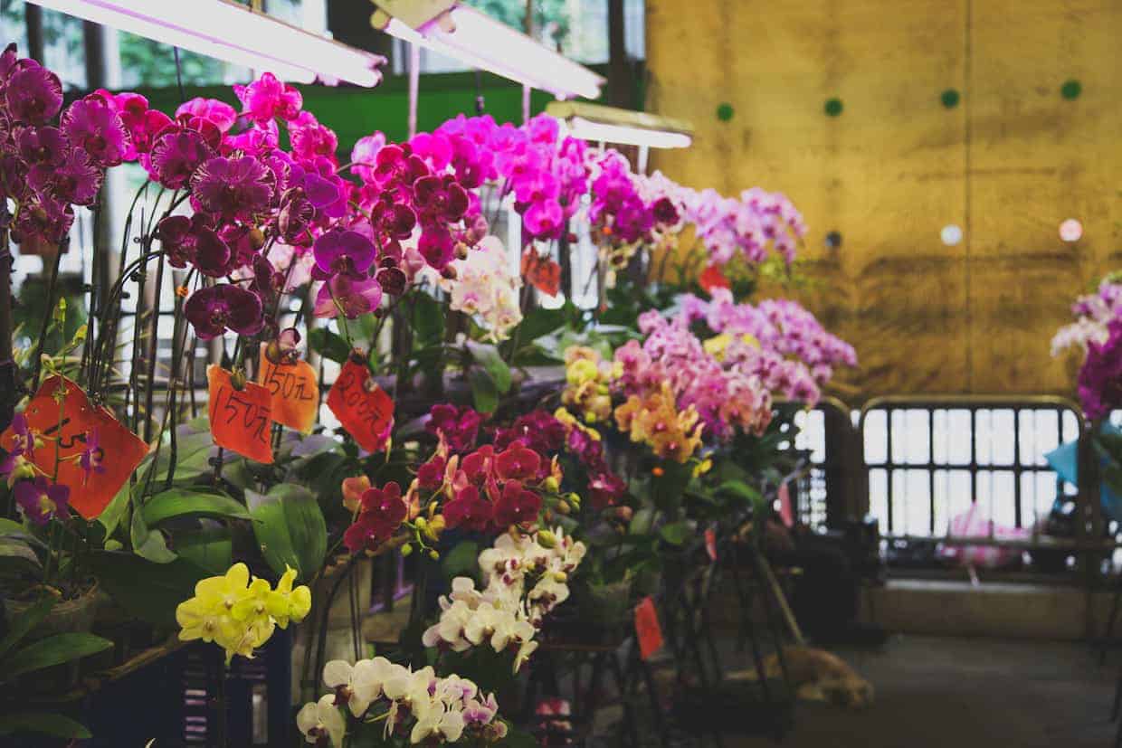 Taipei Flower Mart