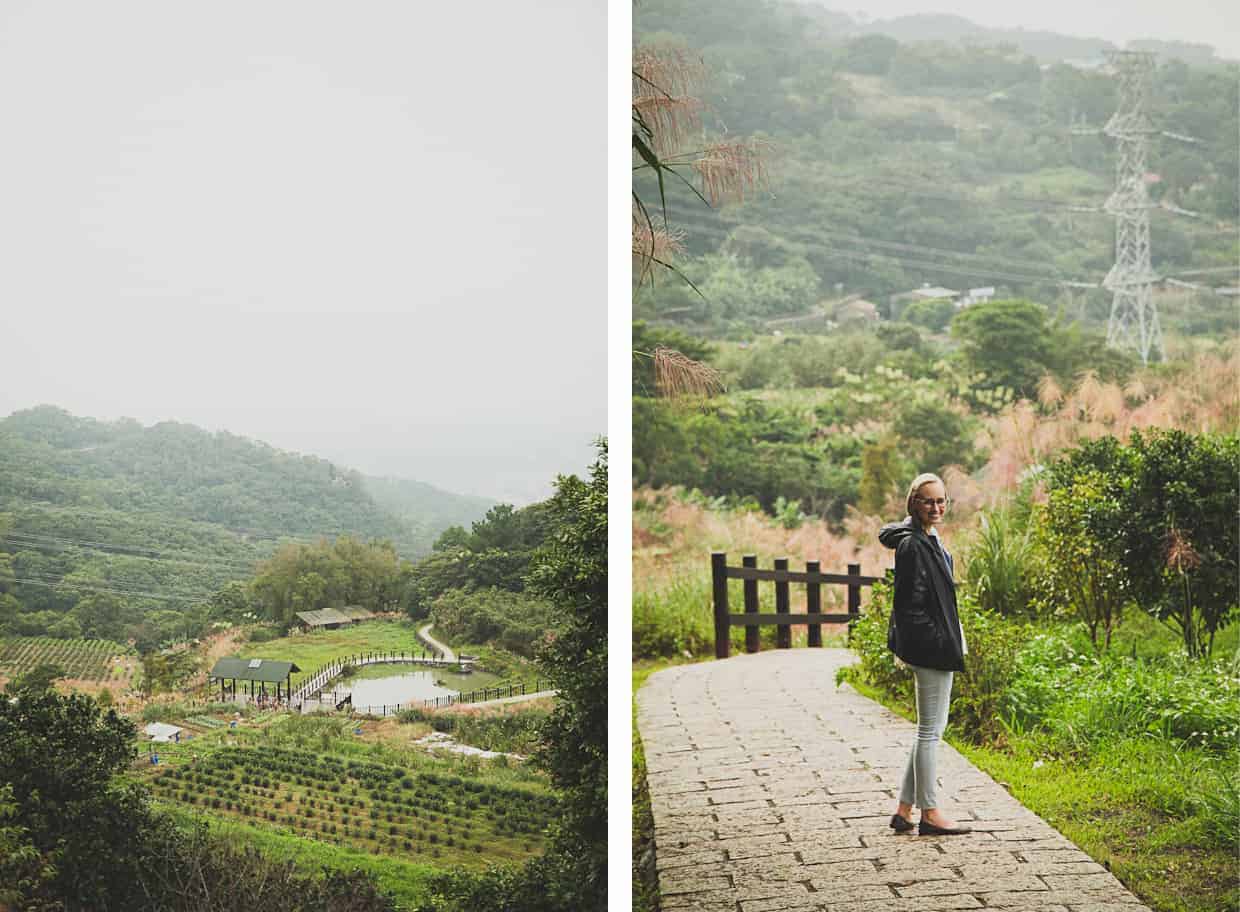 Taipei Tea Gardens