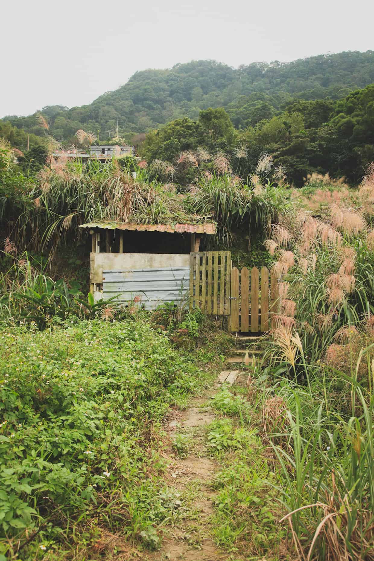 Taipei Tea Gardens