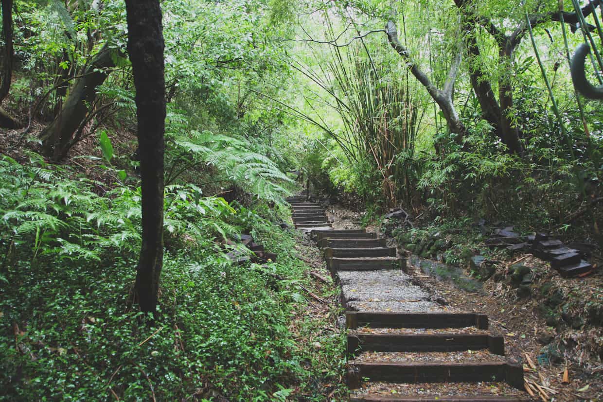 Yangmingshan National Park