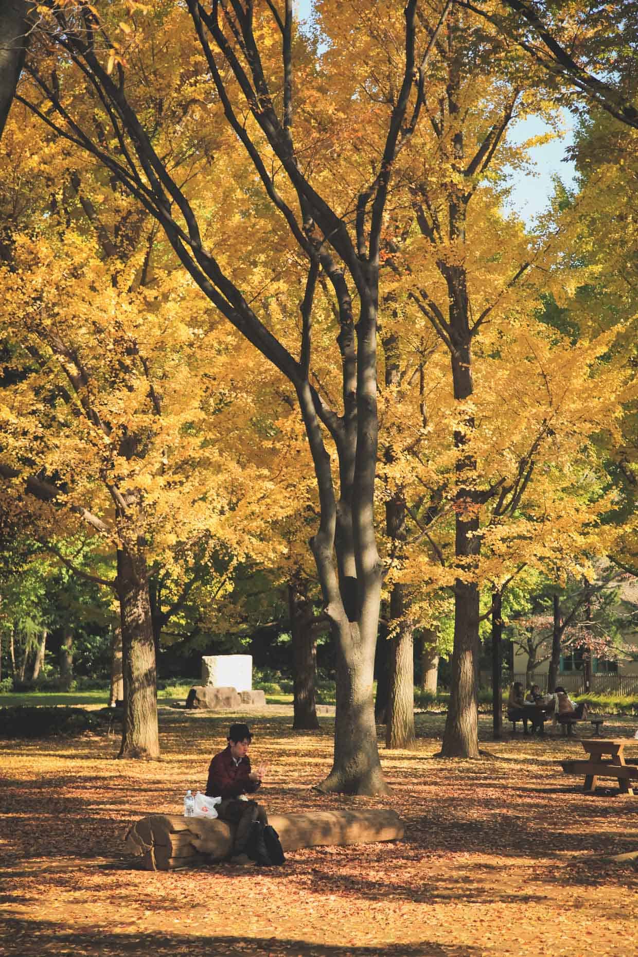 Yoyogi Park