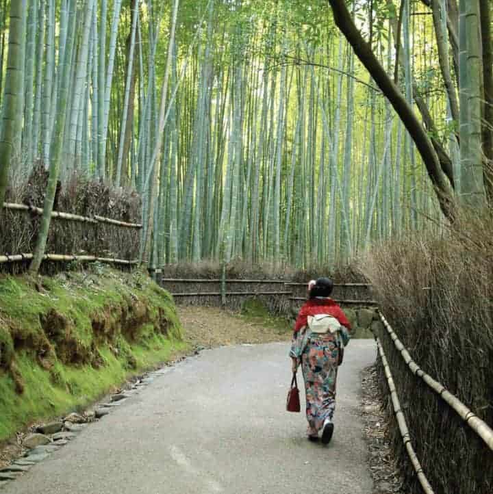 Arashiyama Bamboo Forest