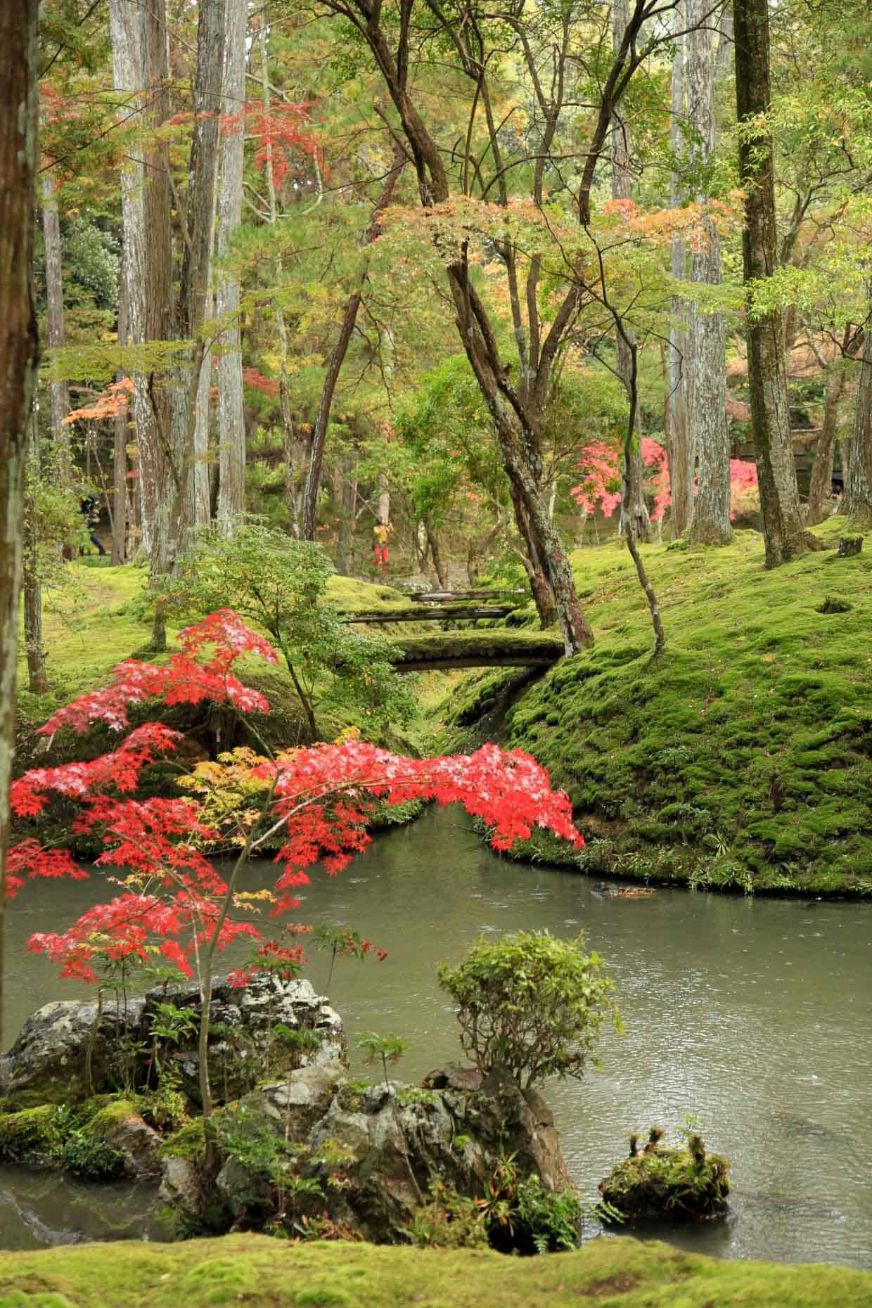 Saiho-ji Temple Moss Gardens