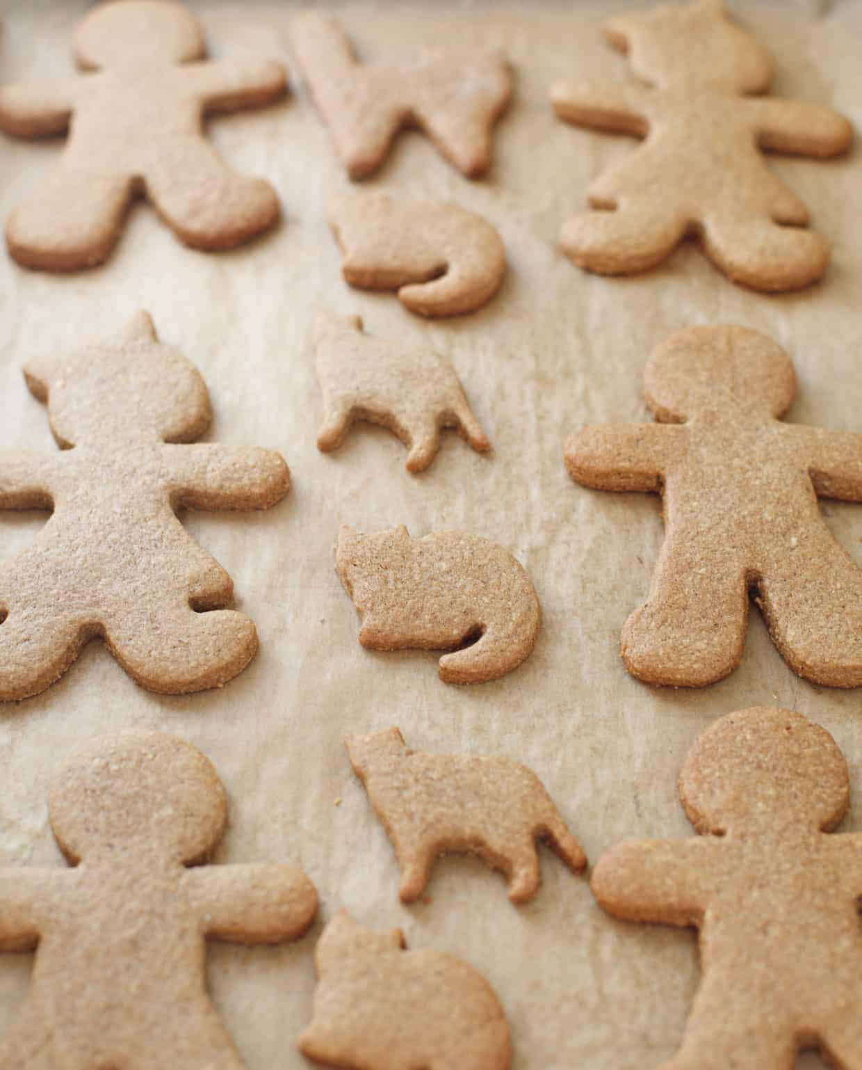 Spiced Gingerbread Cookies