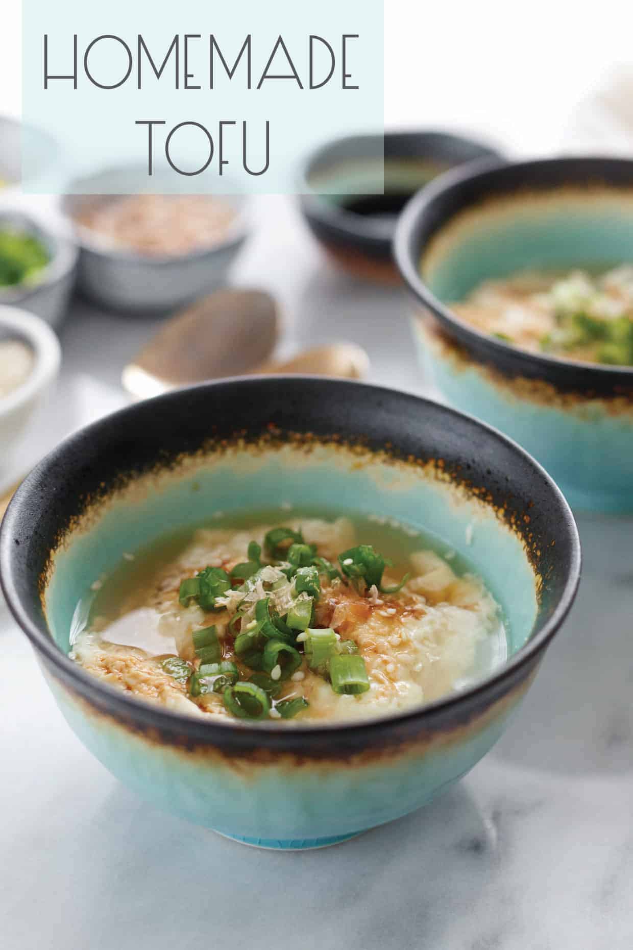 Oboro Tofu: Homemade Silken Tofu Curds