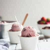 Vegan Strawberry Coconut Chocolate Chip Ice Cream