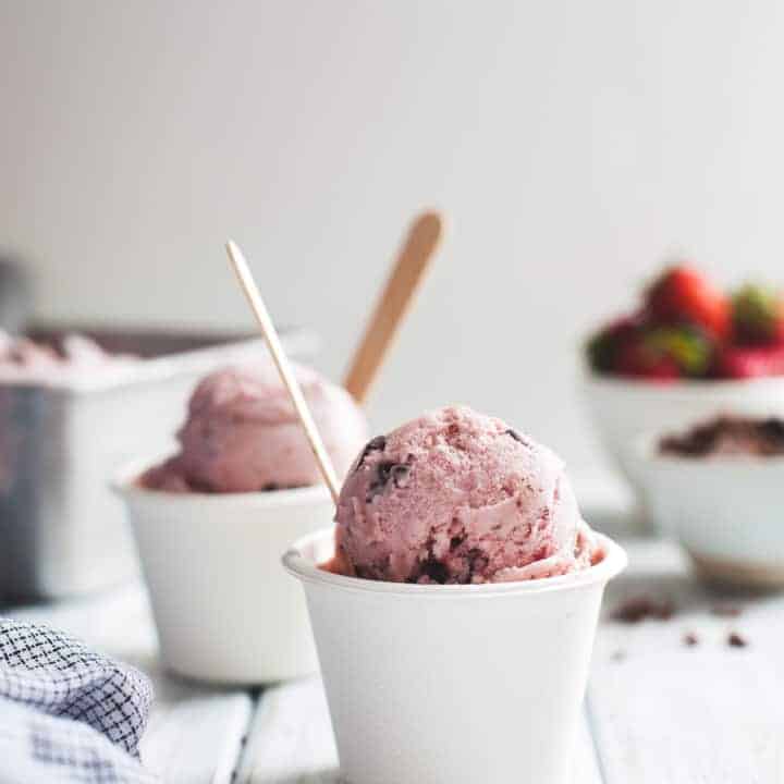 Vegan Strawberry Coconut Chocolate Chip Ice Cream