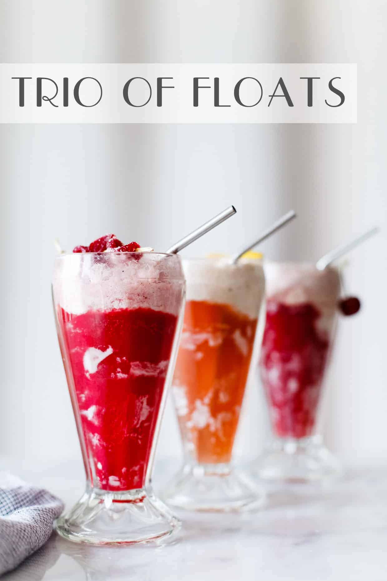 Hibiscus Ginger Ice Cream Floats