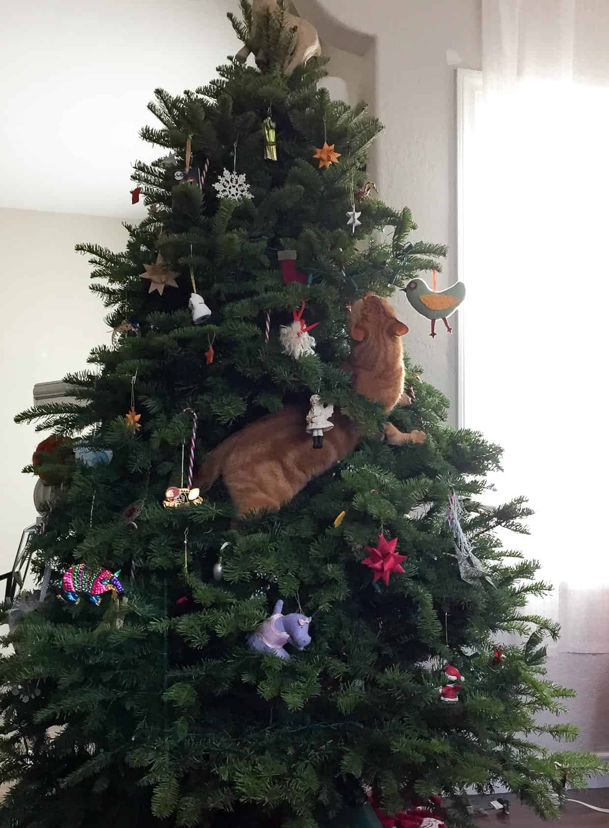 Cat Christmas Tree