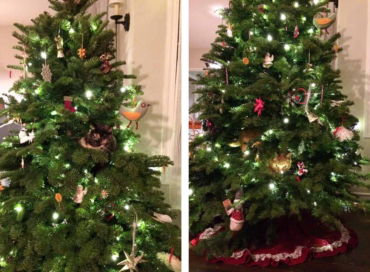 Cat Christmas Tree