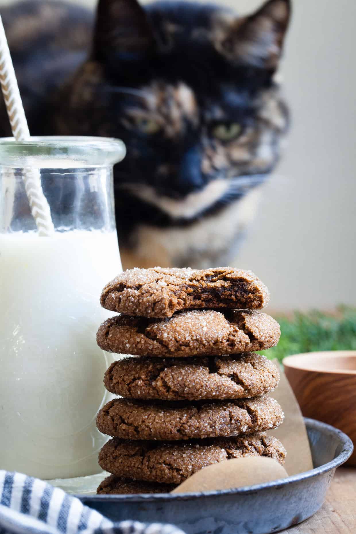 Salted Bacon Fat Ginger Molasses Cookies {gluten-free}