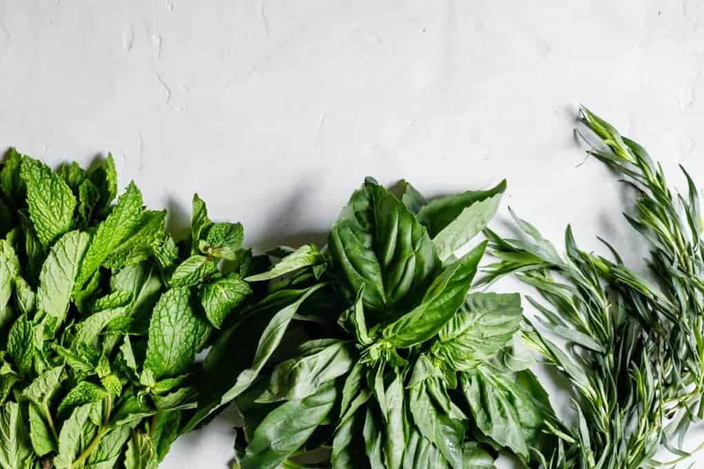 Almond Milk Fettuccine Alfredo with Spring Veggies & Herbs Snixy Kitchen