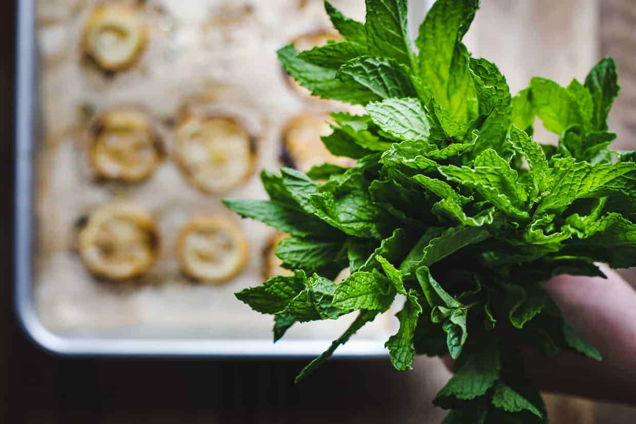 Roasted Lemon Mint Pesto & Ricotta Tartines, Two Ways