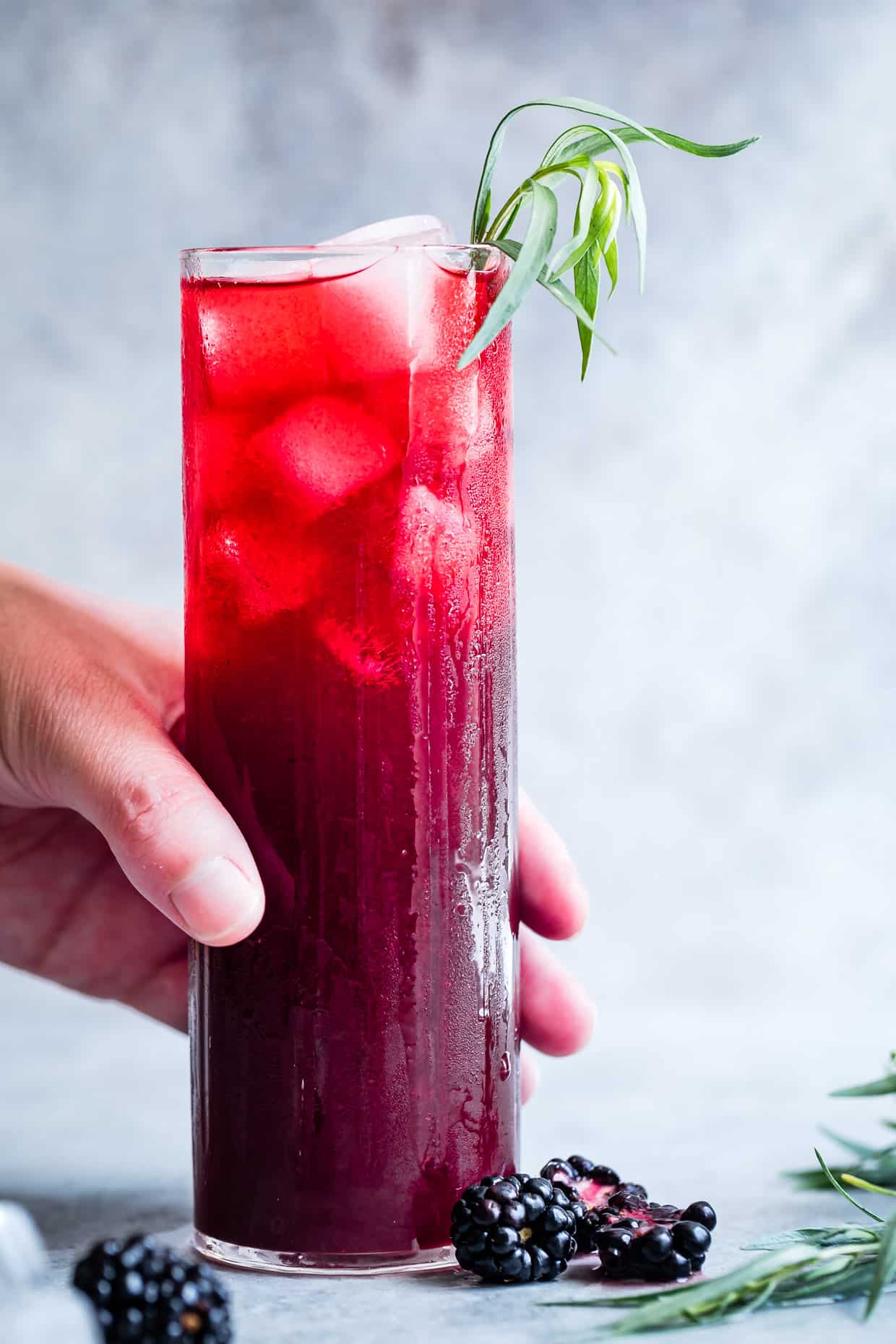 Blackberry Hibiscus Spritzer with Tarragon #mocktail #recipe #hibiscus