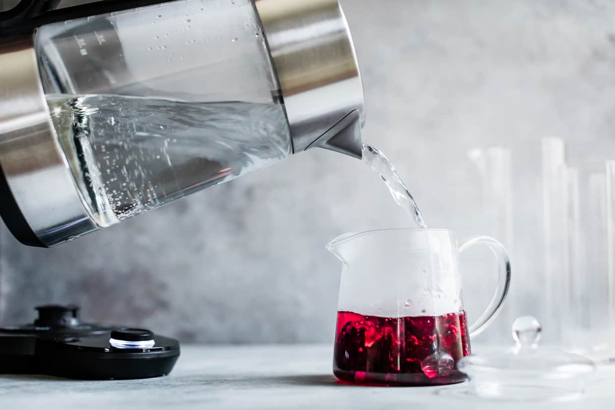 Blackberry Hibiscus Spritzer with Tarragon #mocktail #recipe #hibiscus