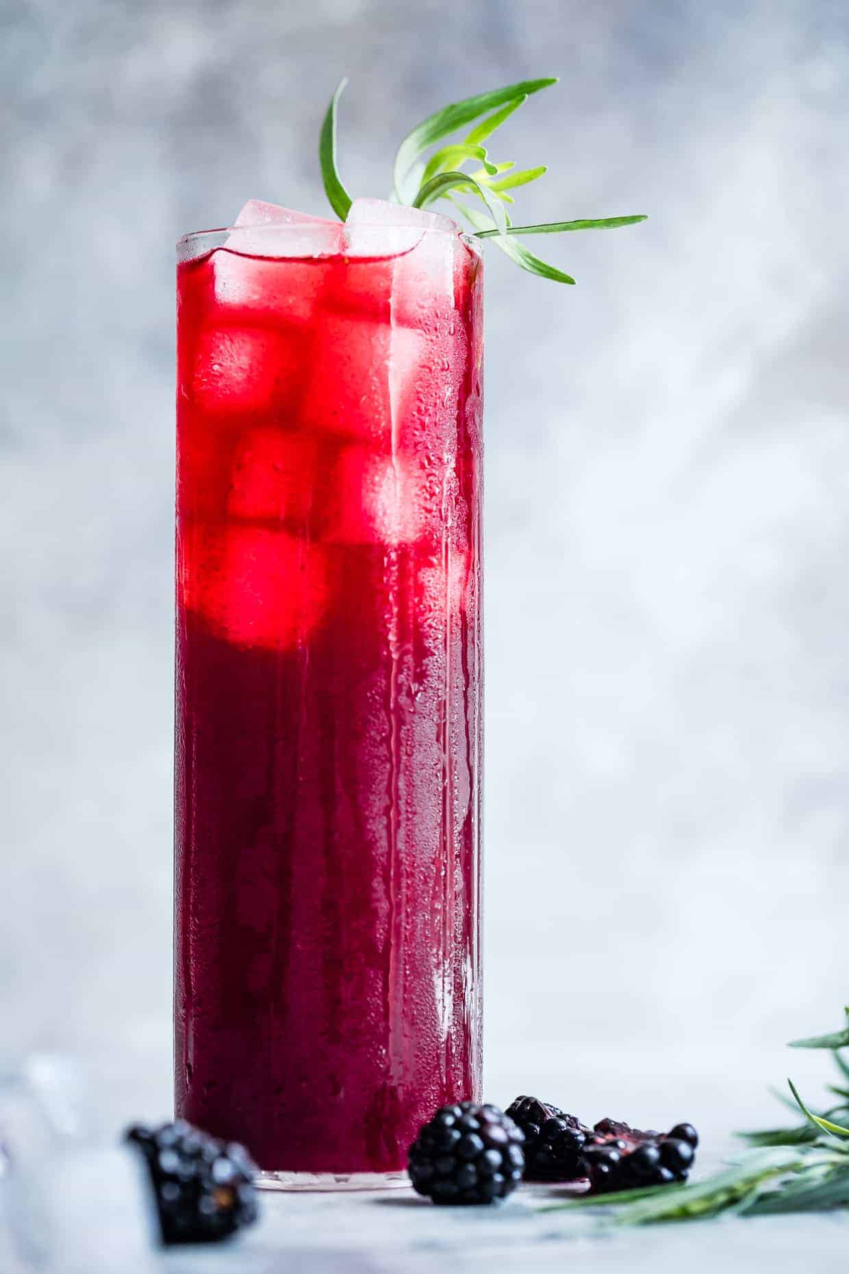 Blackberry Hibiscus Spritzer with Tarragon #mocktail #recipe #hibiscus