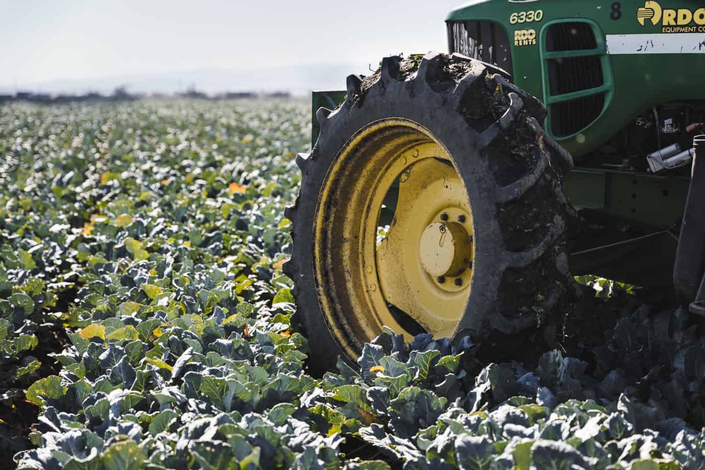 Earthbound Farms Tour