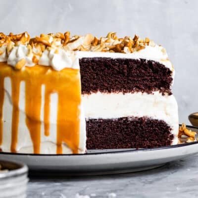 Gluten-Free Chocolate Ice Cream Cake