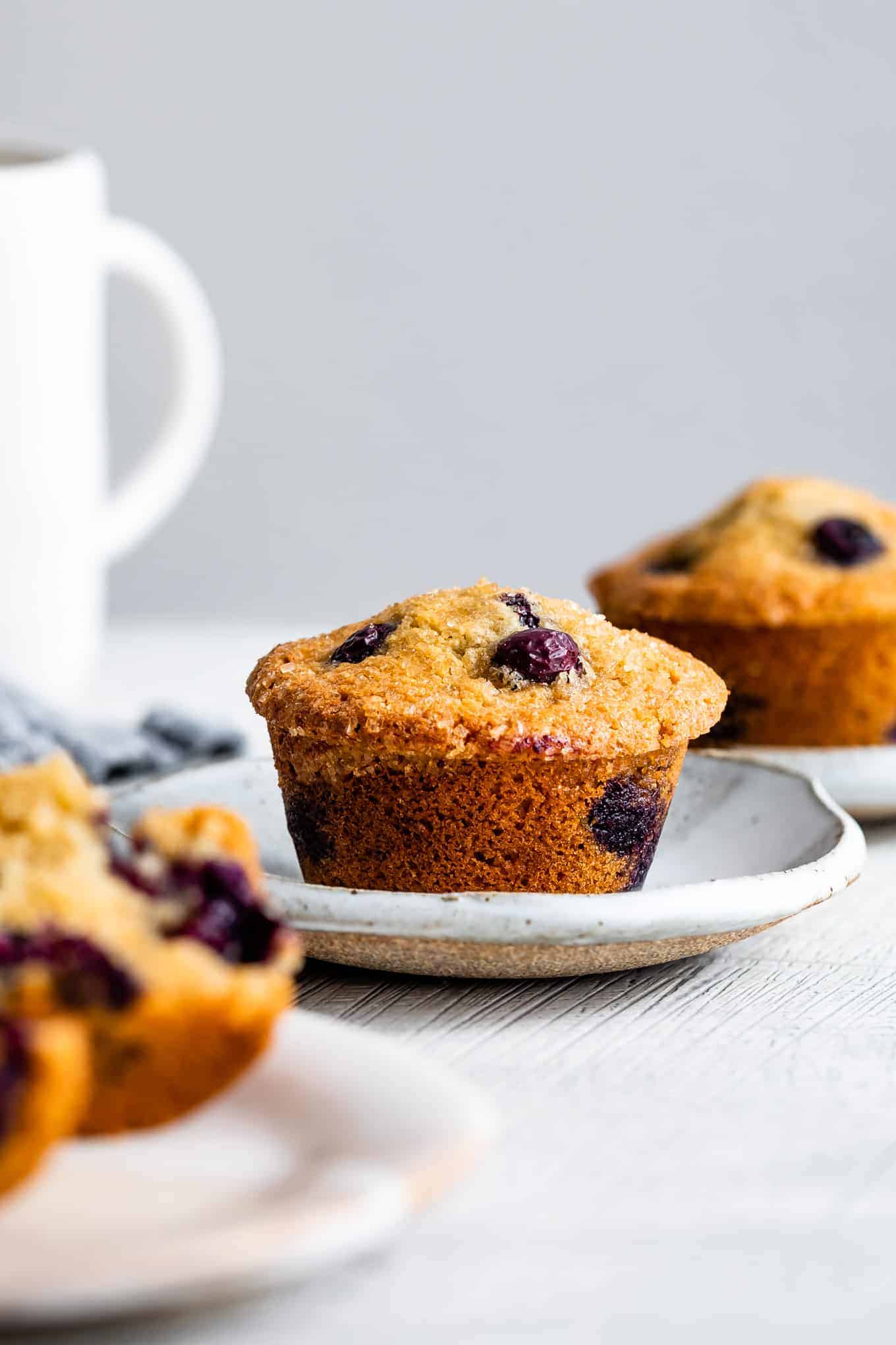 Gluten-Free Blueberry Muffin Recipe with Almond Flour