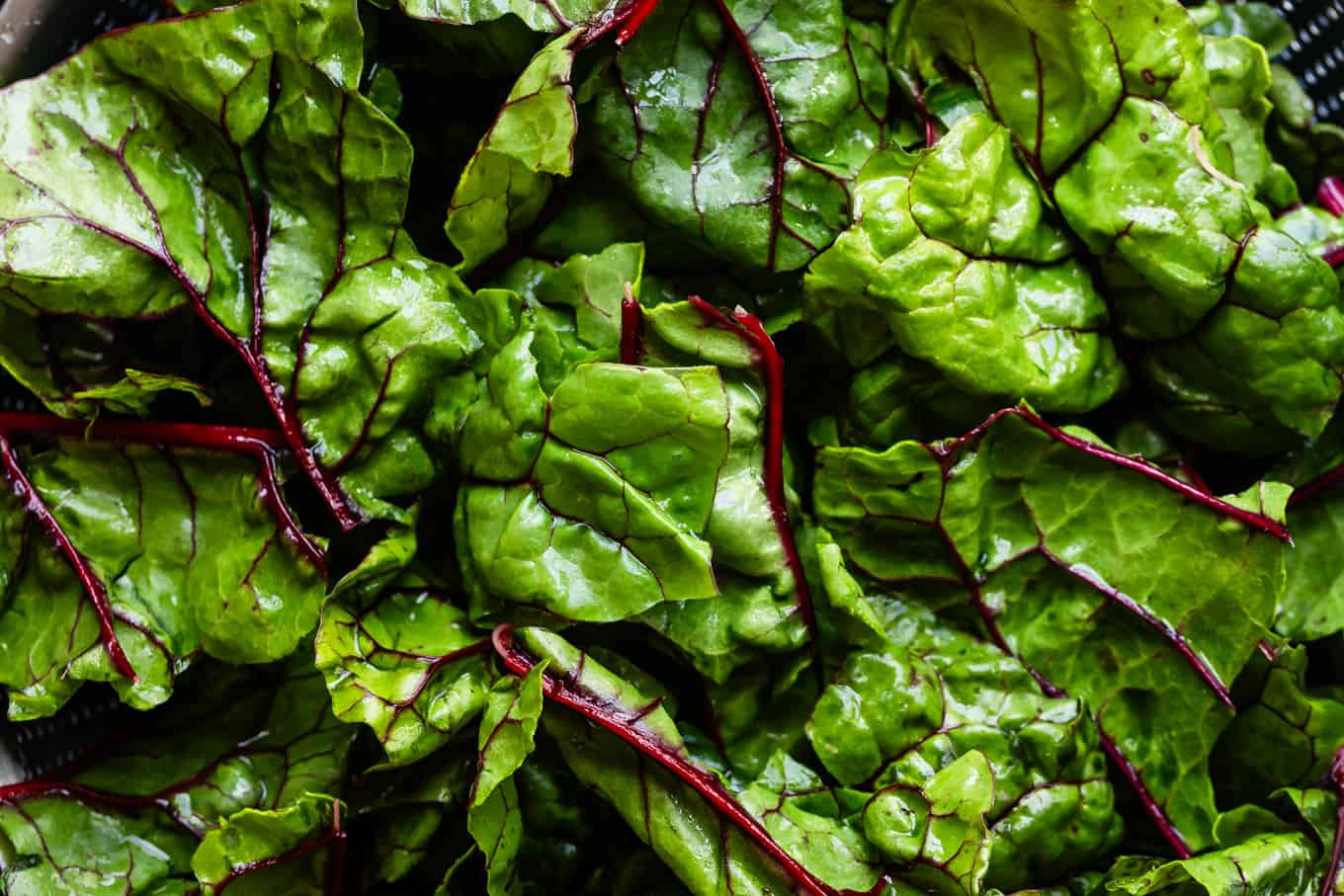 Rainbow Chard