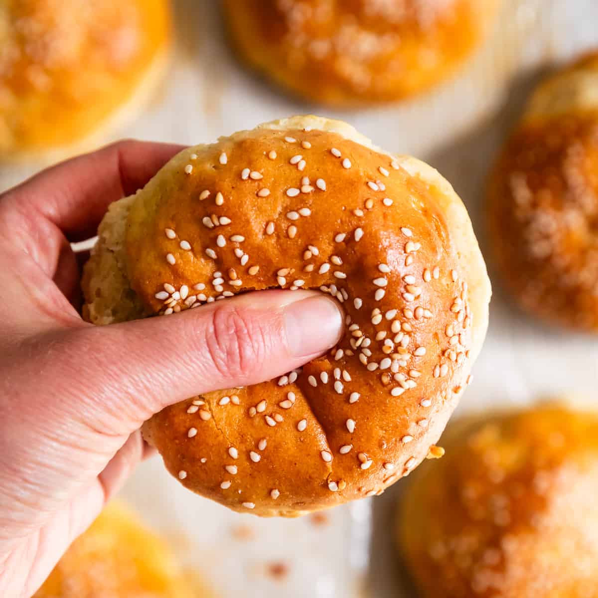 Gluten-Free Hamburger Bun 