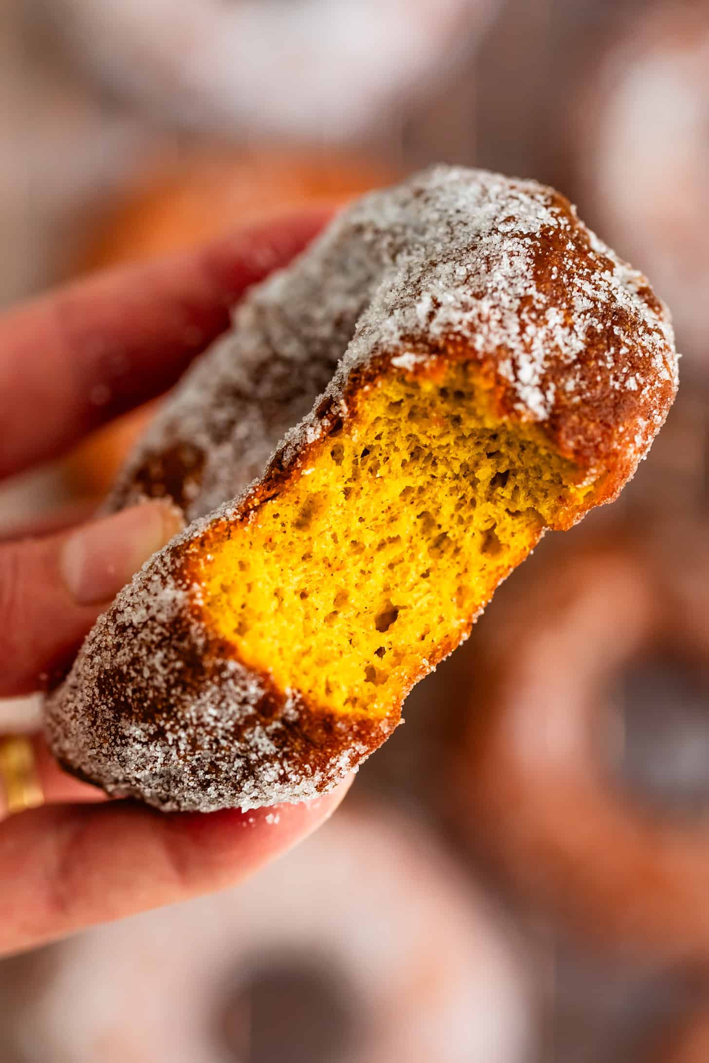 Close-up of Gluten-free Pumpkin Donuts