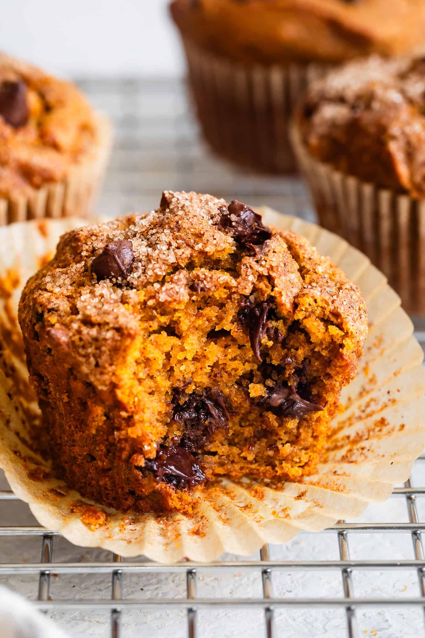 Gluten-Free Pumpkin Chocolate Chip Muffins