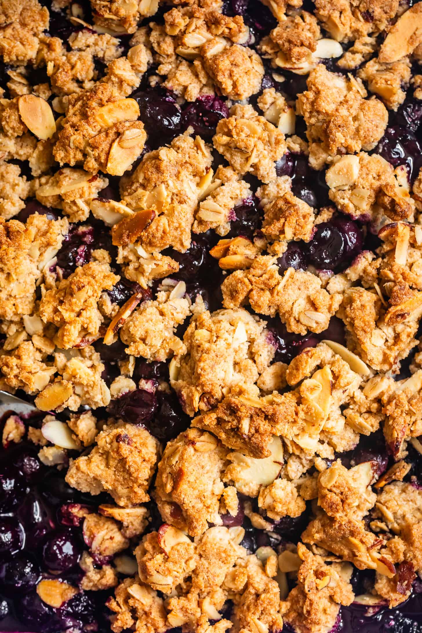Close-up Baked Gluten-Free Blueberry Crumble
