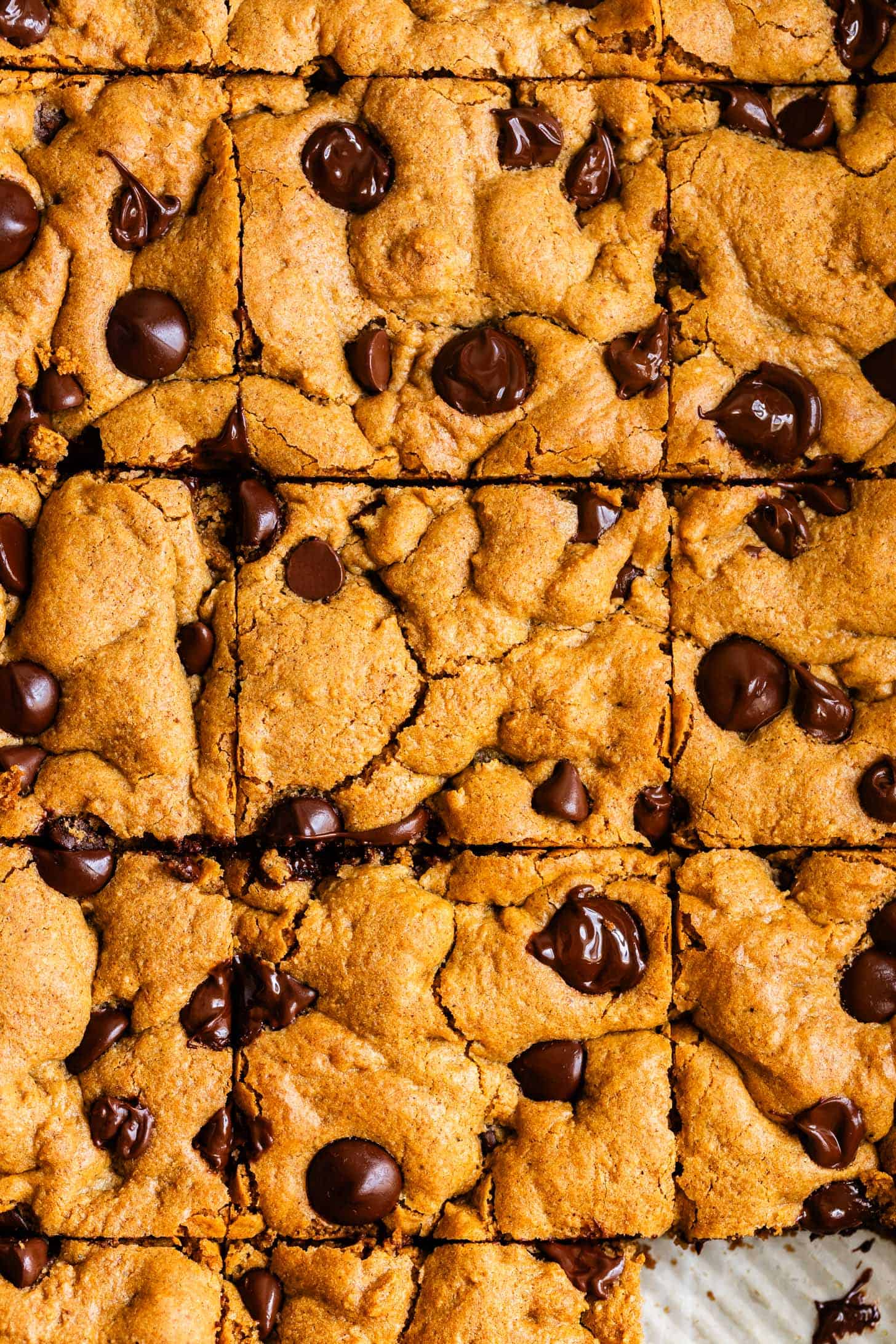 Close-up Overhead Chocolate Chip Pumpkin Blondies