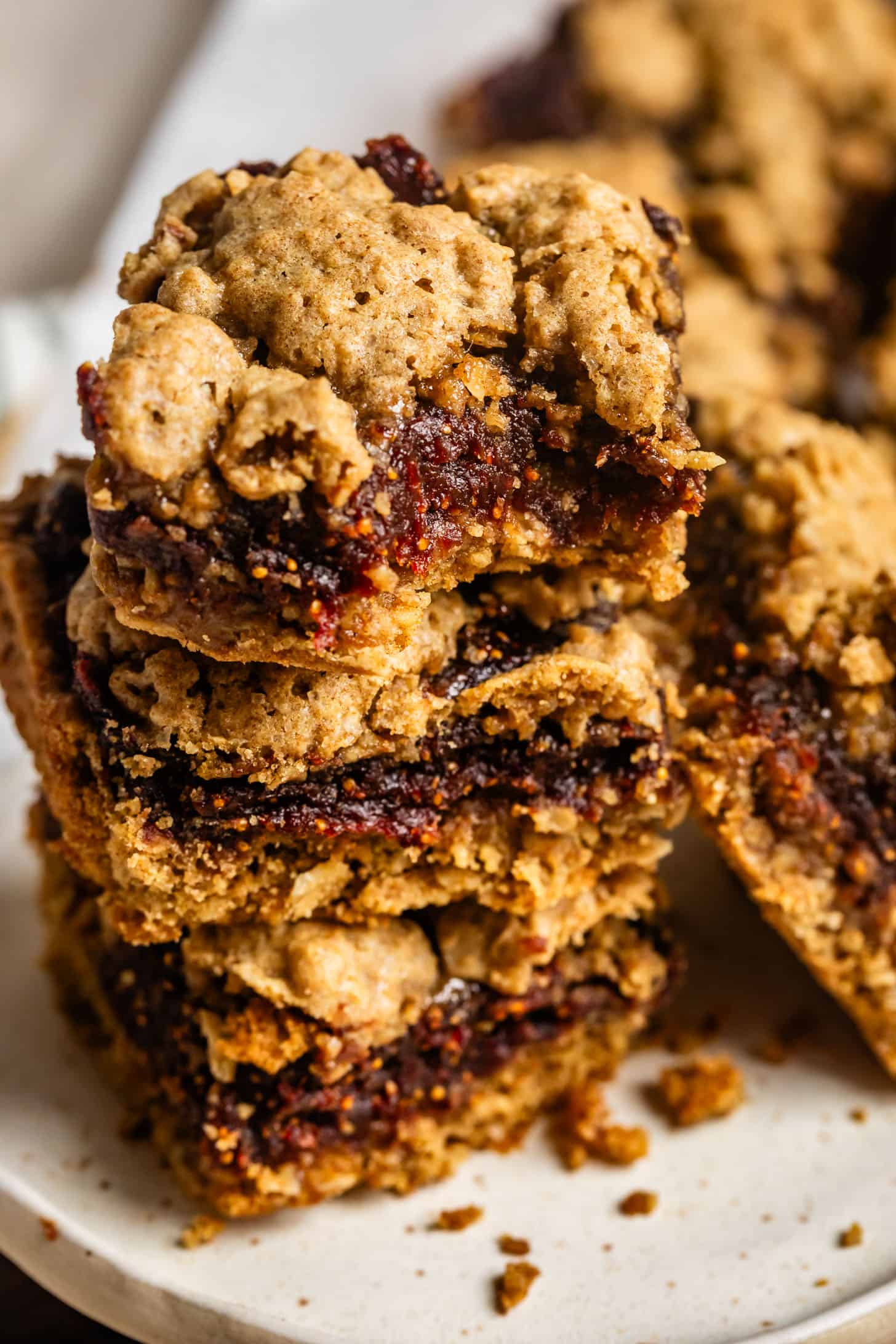 Bite and Stack Gluten Free Fig Bars