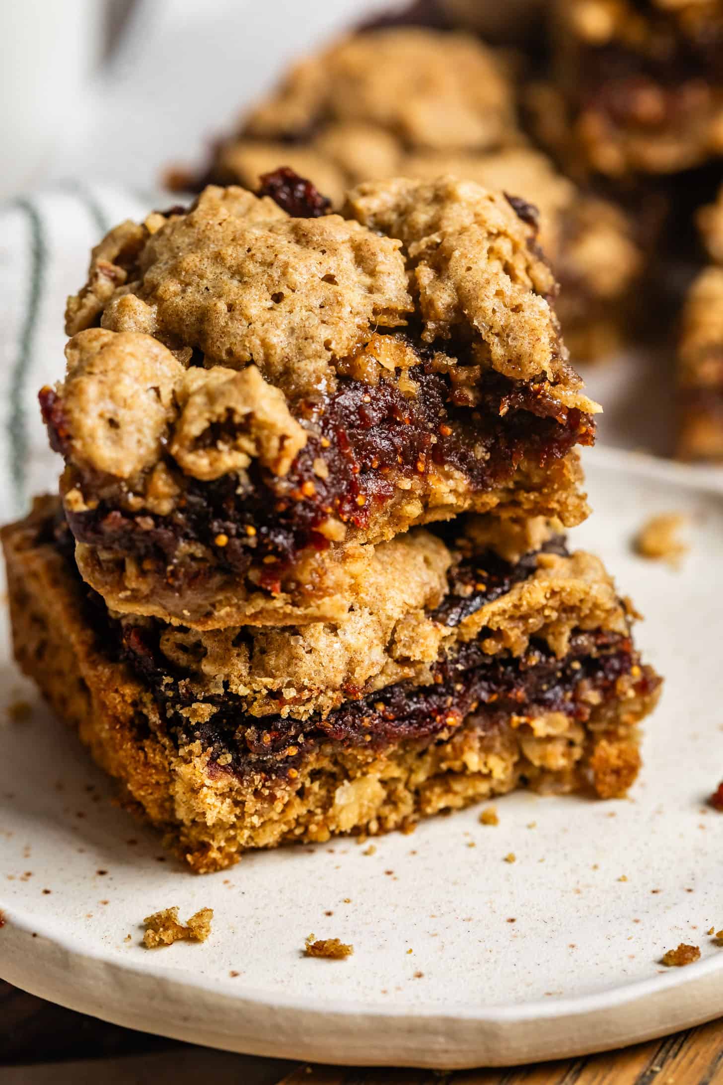 Homemade Gluten Free Fig Newtons