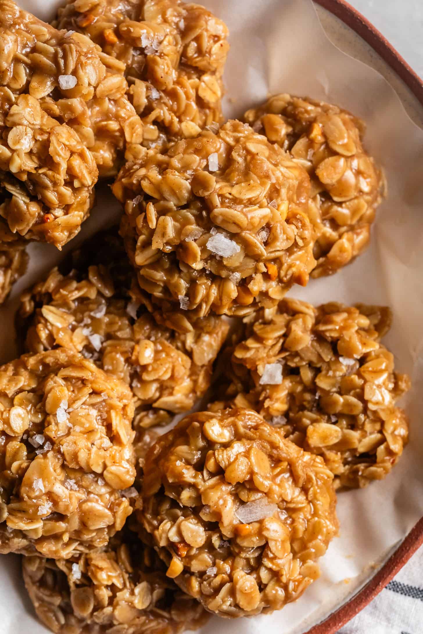 Fudgy On a Plate No Bake Peanut Butter Oatmeal Cookies